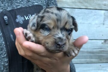 0f8fdaa4-afe8-89f4-05f8-58297e33b674_min