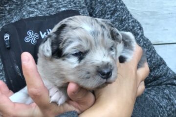 8252f430-0a27-4e24-2d42-d08e80cf0888_min