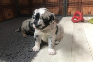 b2b5fb8b-1089-cd54-053d-0038f6e7c4cc_min