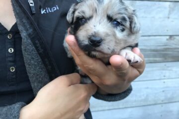 b5daa9b9-e8e3-0044-e547-262c5f3f6c39_min