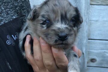 b9ff08d8-b746-7844-ed03-224437545012_min