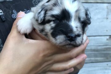 be52f6fa-9dd4-8994-5593-dc6fc402ff1d_min