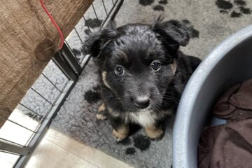 0c73fec7-d5fc-421c-bce3-54f2699aa7d7