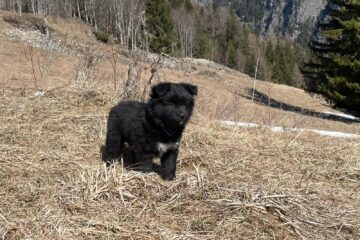 2f00b5ab-621c-4f10-b751-c21e0a011f0e