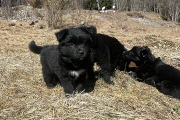 4f0be185-6d5e-47c3-880f-fb2e20c76003