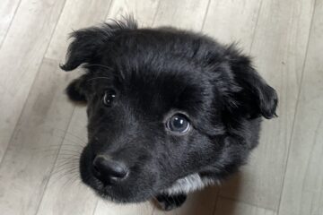 65b6e60a-09ce-4eec-b870-ed4badf75c21