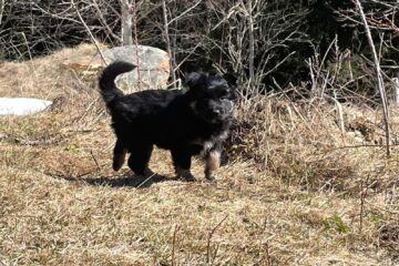 8949aa21-498b-4245-b1c0-071c7695f9f3