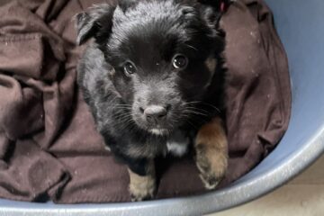 958174b0-f36c-4a56-af84-5d88f9fb9963