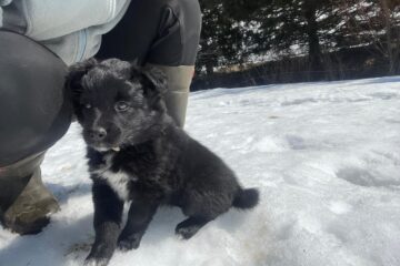 a5519c26-458c-4286-acb3-97b76ec4ae1a