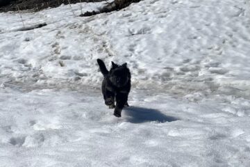 add749db-d260-4c61-9f7d-271cdfa4dcaa