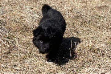 b2d33eec-b082-479f-aed6-b53a3dcd4289