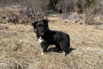 d715cd21-7ad8-4f78-a52f-8557bc5bedc8